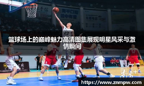 3377体育官网