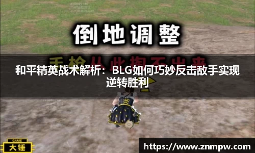 3377体育