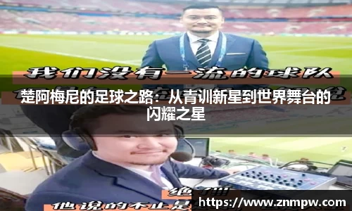 3377体育